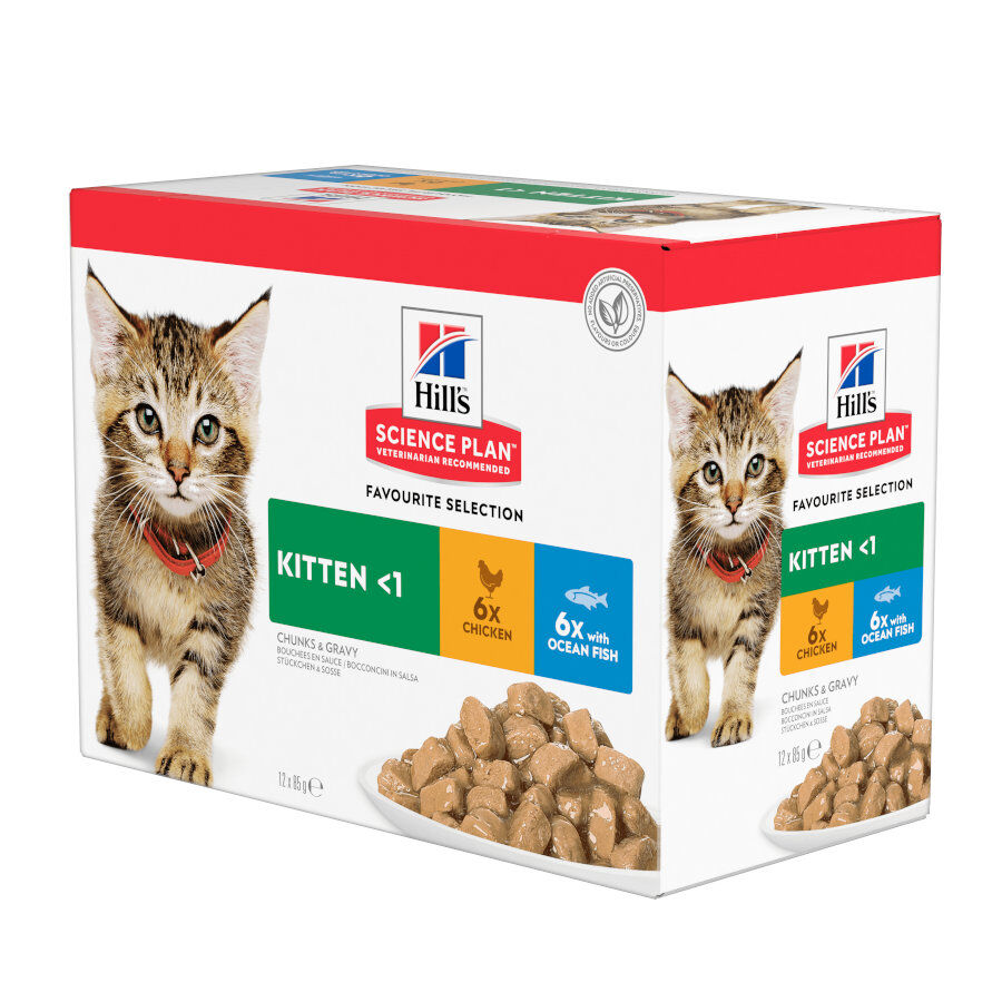 12 sobres x 85 g Hill's Science Plan Kitten Pollo y Pescado sobre para gatos , , large Imagen numero 1