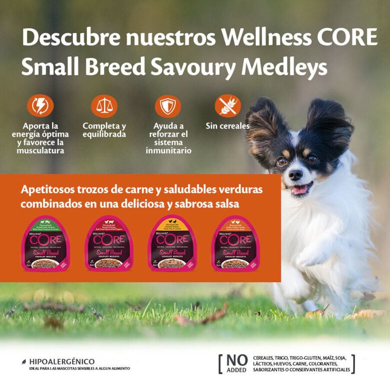 85 g Wellness Core Small Breed Grain Free Cordero y Venado tarrina para perros,  Imagen numero 3 85 g Wellness Core Small Breed Grain Free Cordero y Venado tarrina para perros, , large Imagen numero 3