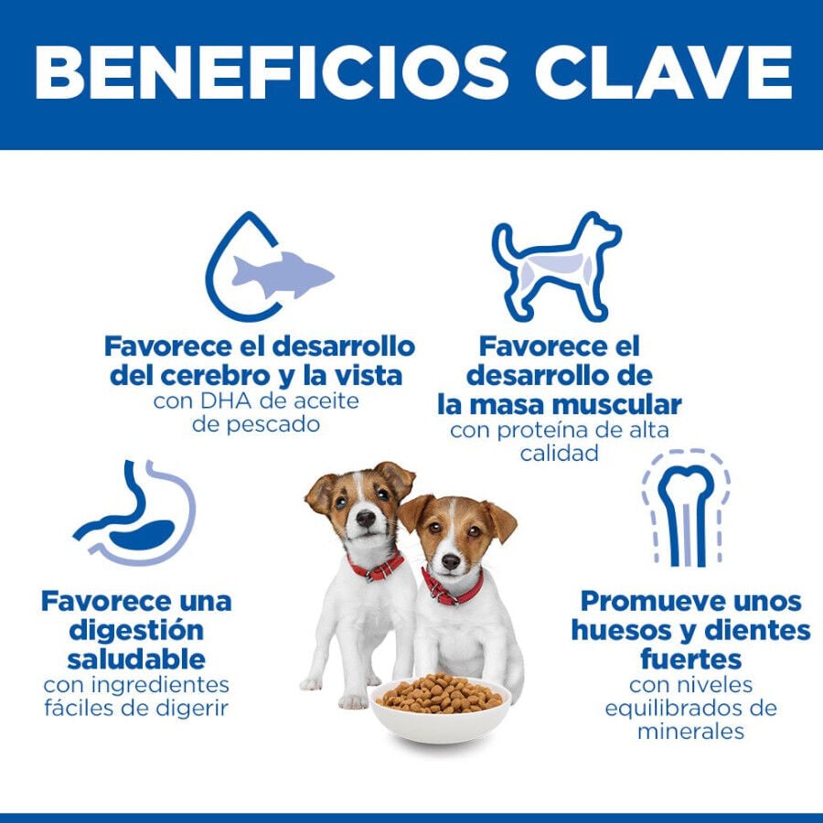 6 kg Hill's Science Plan Puppy Small y mini Cordero y arroz para perros, , large Imagen numero 5