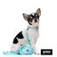 Gotoo Set Correa y Collar estampado con estrellas verde para perros, , large indicador imagen numero 10