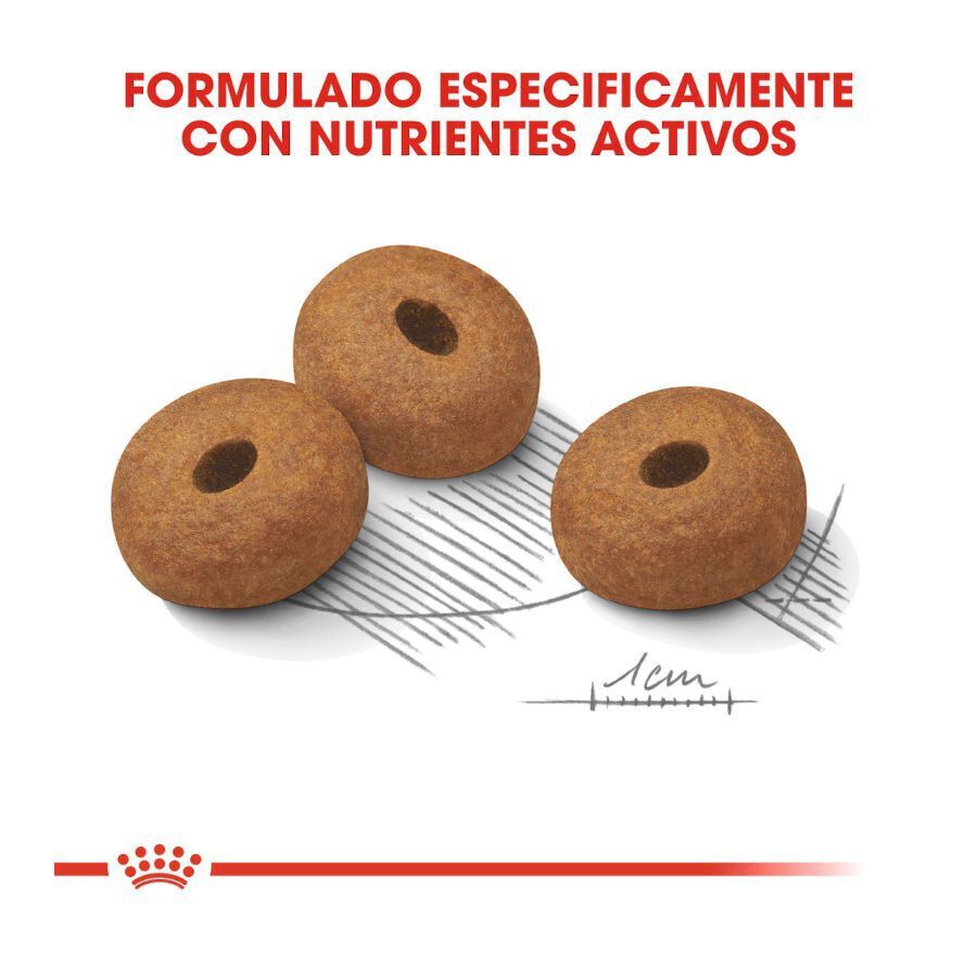 Royal Canin Light Weight Care Maxi pienso para perros thumbnail