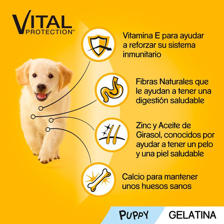 Pedigree Pollo y Buey con Arroz Gelatina en Bolsita para Cachorros - Multipack thumbnail