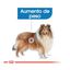 12 kg Royal Canin Light Weight Care Maxi pienso para perros, , large indicador imagen numero 5