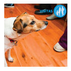 Adaptil Difusor y Recambio Tranquilizante para perros, , large image number null