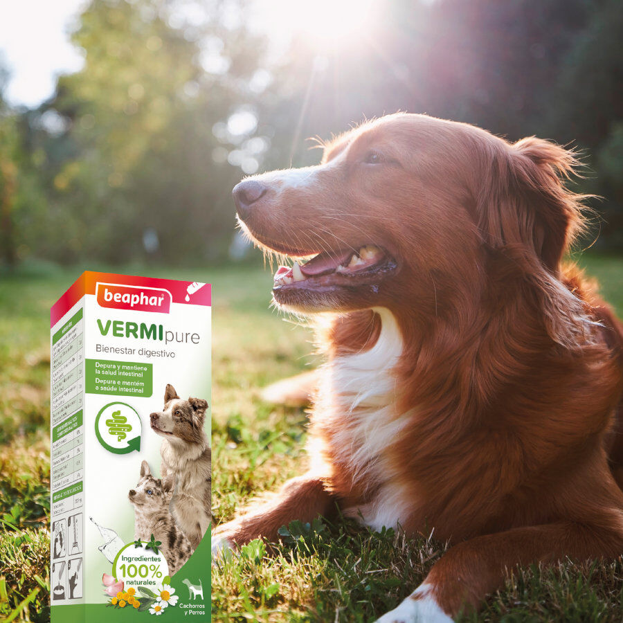 Beaphar VERMIpure Repelente Interno Natural L&iacute;quido para perros y cachorros, , large Imagen numero 7