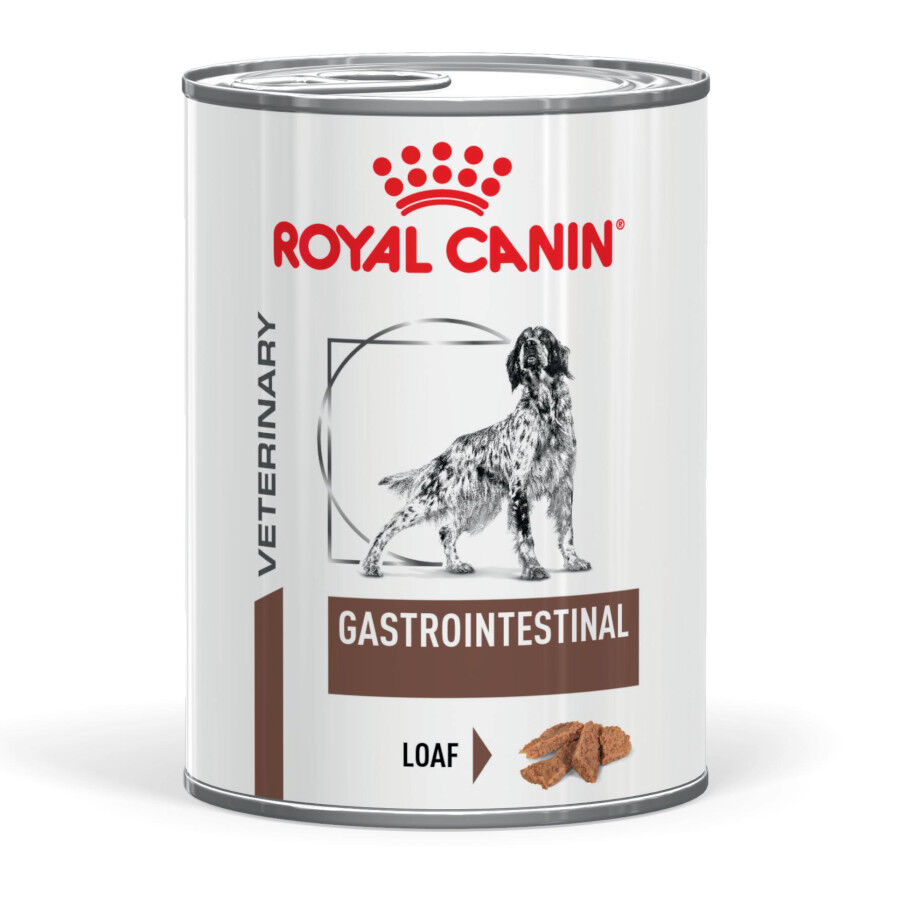 400 g Royal Canin Veterinary Diet Gastrointestinal lata para perros  , , large Imagen numero 1