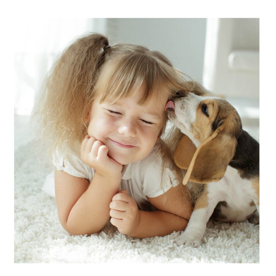 Beaphar Fiprotec Spray Antiparasitario para perros y gatos thumbnail