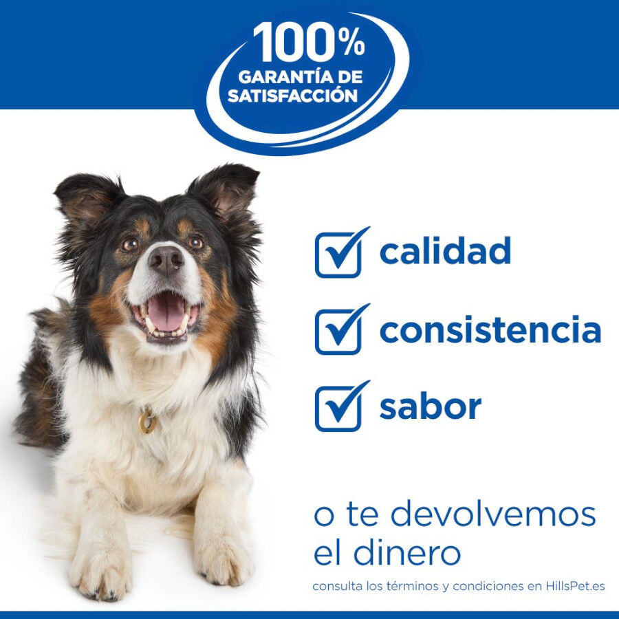 Hill&#039;s Science Plan Adult Sensitive Stomach &amp; Skin Small &amp; Mini pienso para perros de razas pequeñas y mini thumbnail