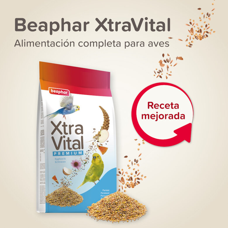 Beaphar XtraVital Premium Mixtura de Semillas para periquitos,  Imagen numero 2 Beaphar XtraVital Premium Mixtura de Semillas para periquitos, , large Imagen numero 2