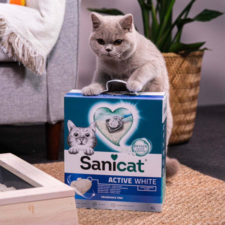 Sanicat Clumping White Arena Blanca Aglomerante sin perfume para gatos thumbnail