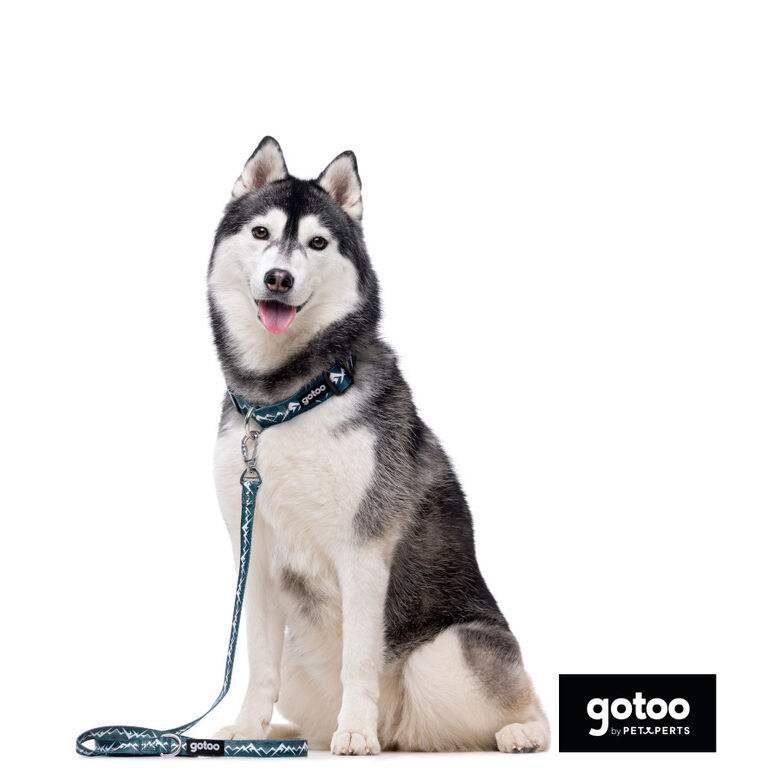 Gotoo Collar estampado verde para perros thumbnail