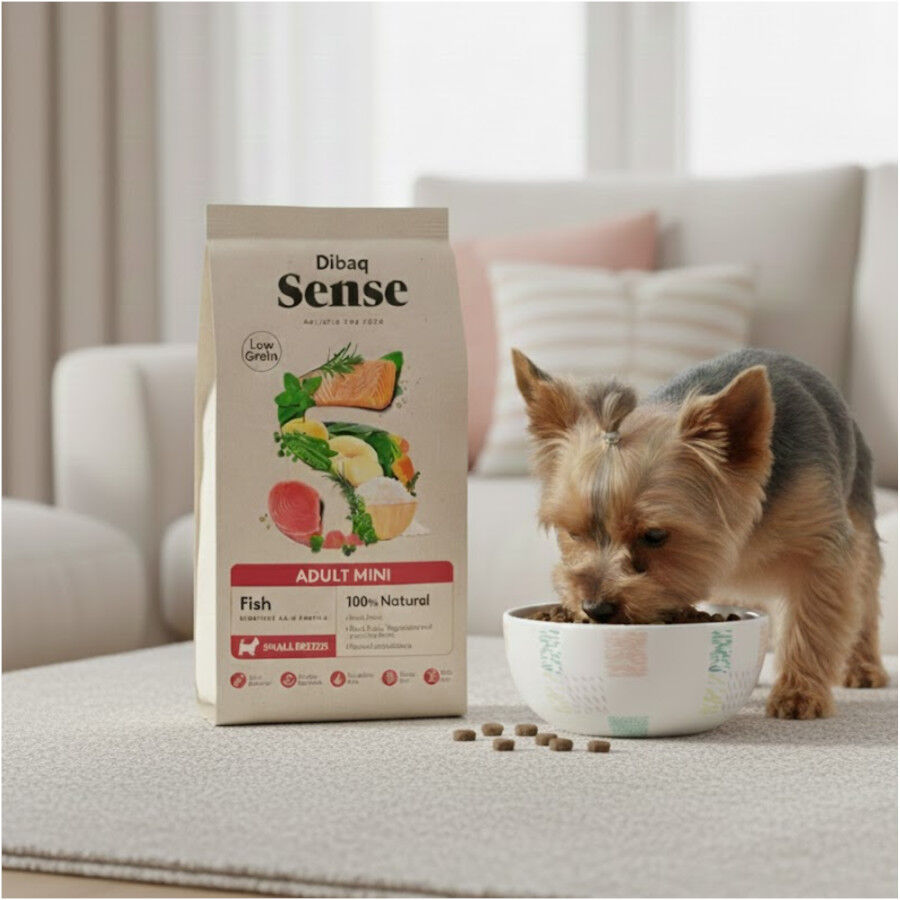 Dubaq Sense Low Grain Ault Mini Pescado Pienso para perros, , large Imagen numero 5