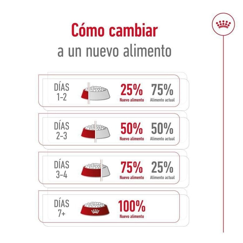 8 kg Royal Canin Mini 8+ Adult pienso para perros,  Imagen numero 10 8 kg Royal Canin Mini 8+ Adult pienso para perros, , large Imagen numero 10