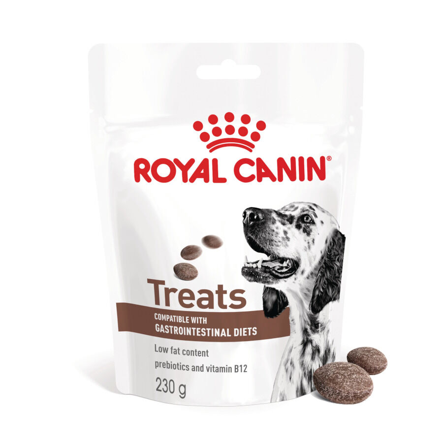 230 g Royal Canin Treats Gastrointestinal Snacks para Perros, , large Imagen numero 1