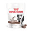 230 g Royal Canin Treats Gastrointestinal Snacks para Perros, , large indicador imagen numero 1