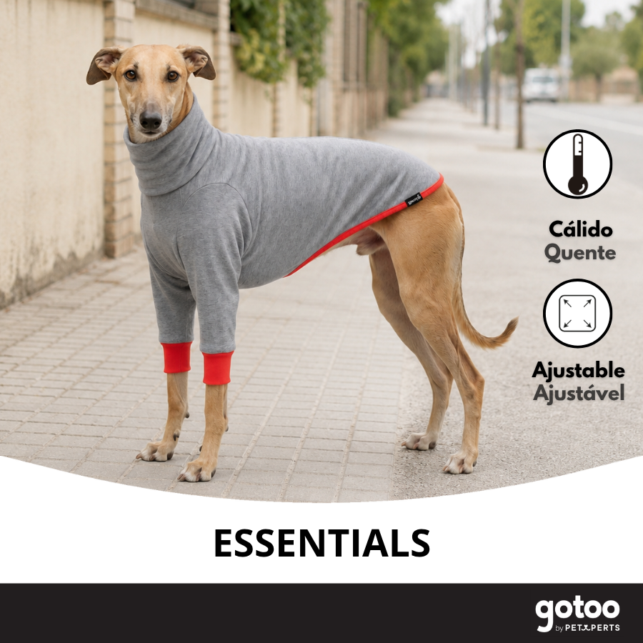 Gotoo Sudadera Gris para galgos, , large Imagen numero 6