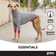 Gotoo Sudadera Gris para galgos, , large indicador imagen numero 6
