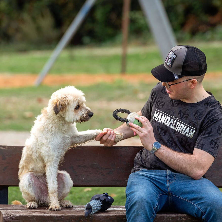 Disney Star Wars The Mandalorian Grogu Mordedor para perros, , large Imagen numero 4