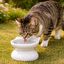 Leeby Comedero Elevado Inclinado de Cer&aacute;mica Blanco para gatos, , large indicador imagen numero 1