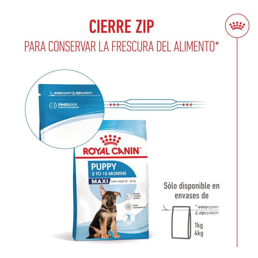 Royal Canin Puppy Maxi pienso para perros thumbnail