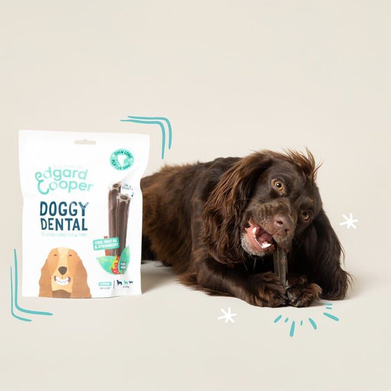 Edgard &amp; Cooper Barritas Dentales Fresa y Menta snack para perros grandes thumbnail
