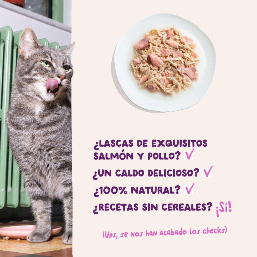 70 g Edgard & Cooper Filetes de Salm&oacute;n y Pollo Lata para gatos, , large Imagen numero 4