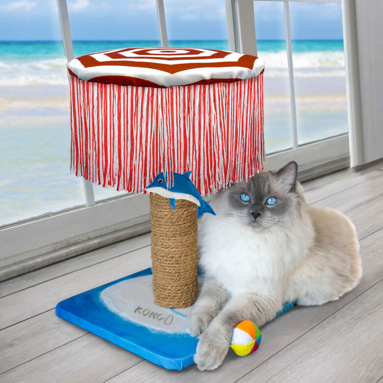 Kong PlaySpaces Catbana juguete para gatos thumbnail