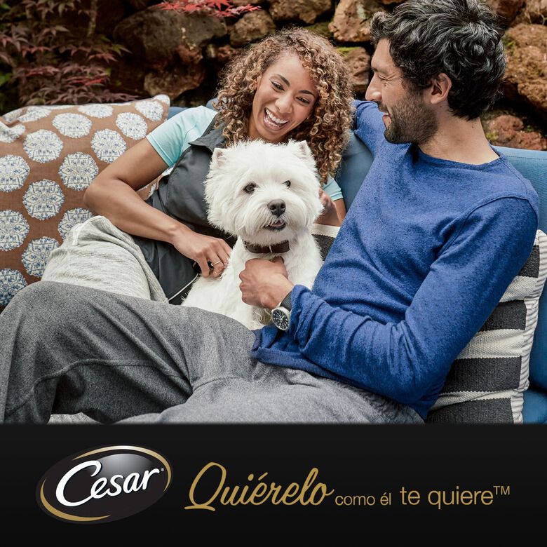 Cesar Carnes Mixtas Gelatina en Bolsita para Perros - Multipack thumbnail