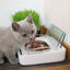 Sure Petcare Surefeed Comedero Automático con Microchip, , large indicador imagen numero 8