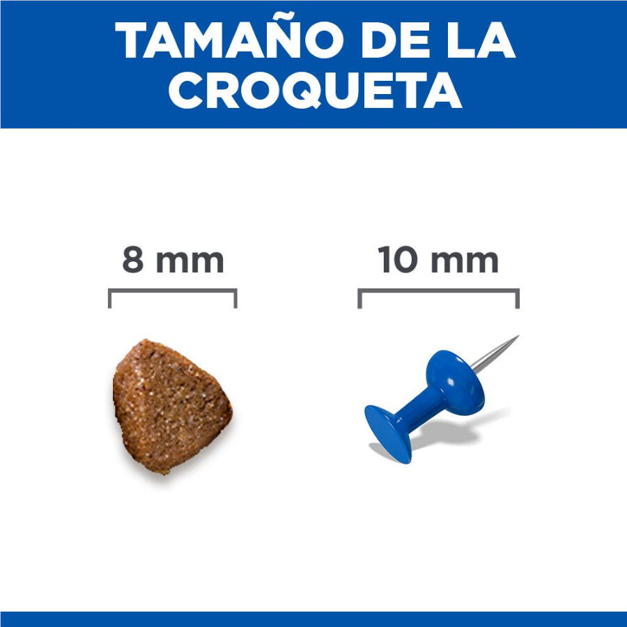 1.5 kg Hill's Science Plan Perfect Digestion Kitten Pienso para gatos, , large Imagen numero 4