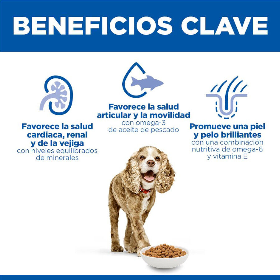 Hill&#039;s Science Plan Senior Small &amp; Mini Pienso para perros seniors de razas pequeñas y mini thumbnail