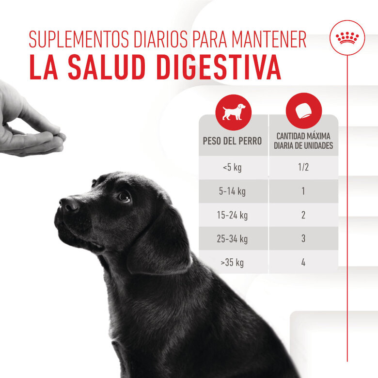 100 g Royal Canin Immunity & Digestion Chews Puppy Suplemento nutricional para perros,  Imagen numero 7 100 g Royal Canin Immunity & Digestion Chews Puppy Suplemento nutricional para perros, , large Imagen numero 7