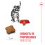 3.5 kg Royal Canin Kitten Sterilised pienso para gatos, , large indicador imagen numero 5