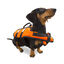 TK-Pet Chaleco Salvavidas Naranja para perros, , large indicador imagen numero 1