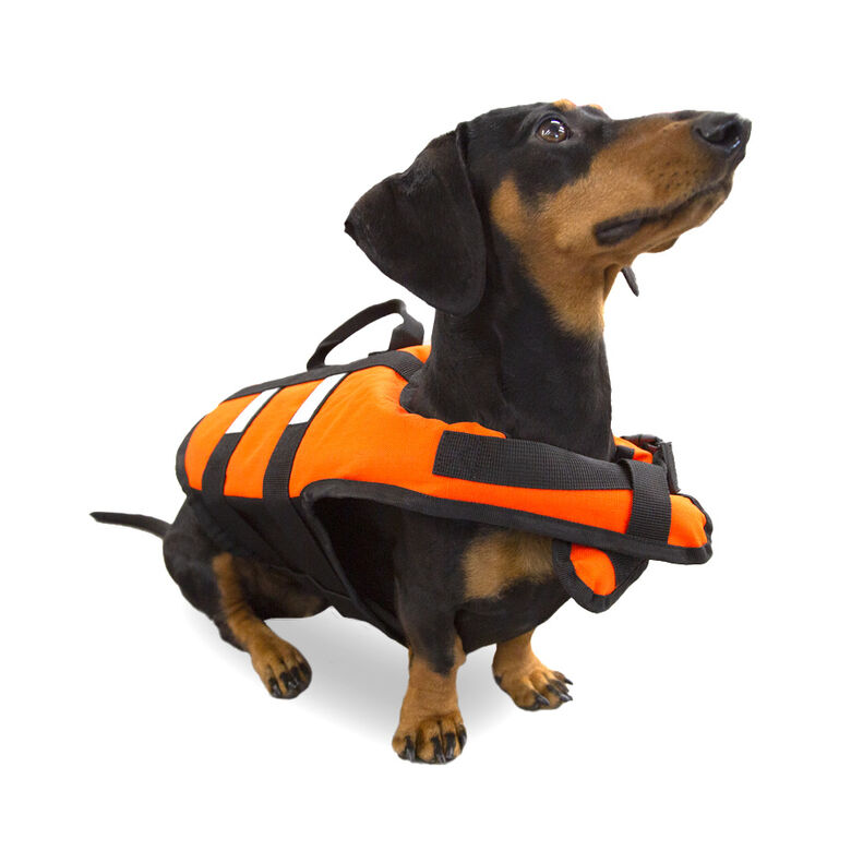 TK-Pet Chaleco Salvavidas Naranja para perros thumbnail