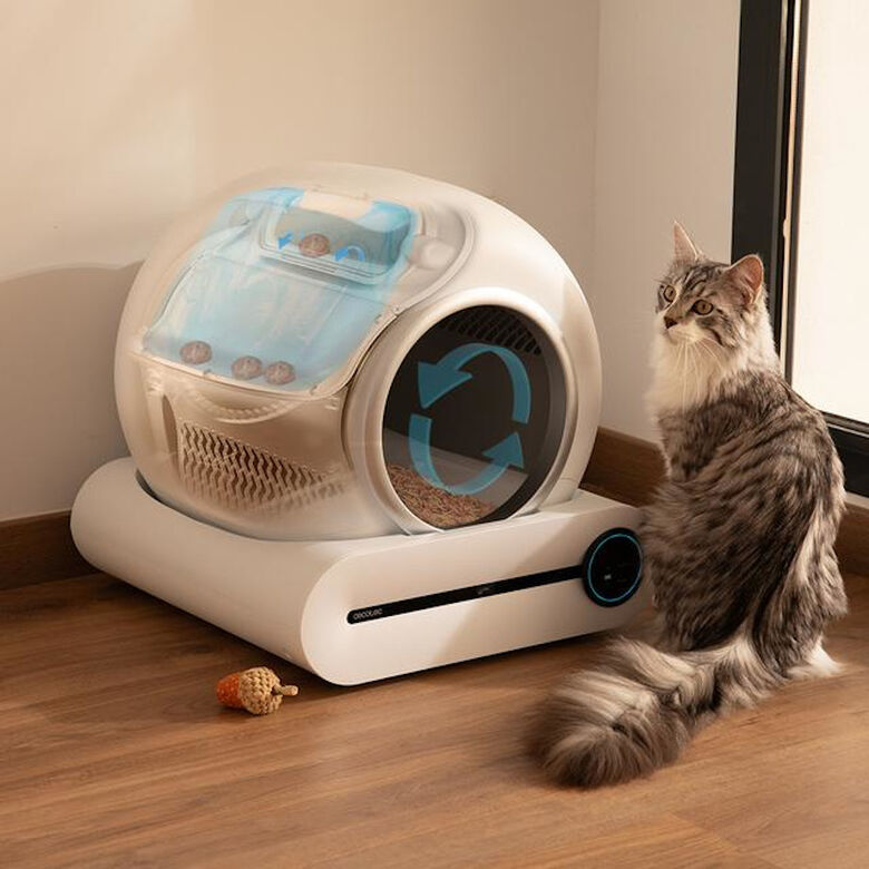 Cecotec Pumba 8000 CleanKitty Smart Arenero Autolimpiable para gatos thumbnail