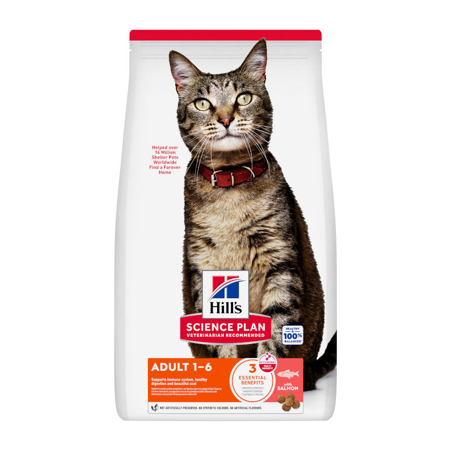 1.5 kg Hill's Science Plan Adult Pienso Salm&oacute;n para gatos, , large Imagen numero 1