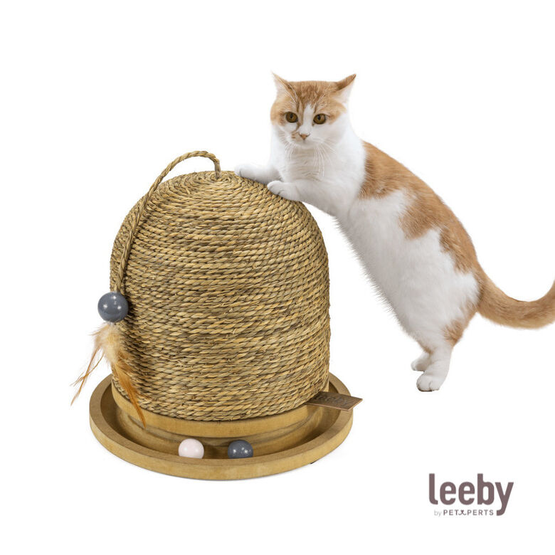 Leeby Beau rascador redondo con juguete para gatos thumbnail