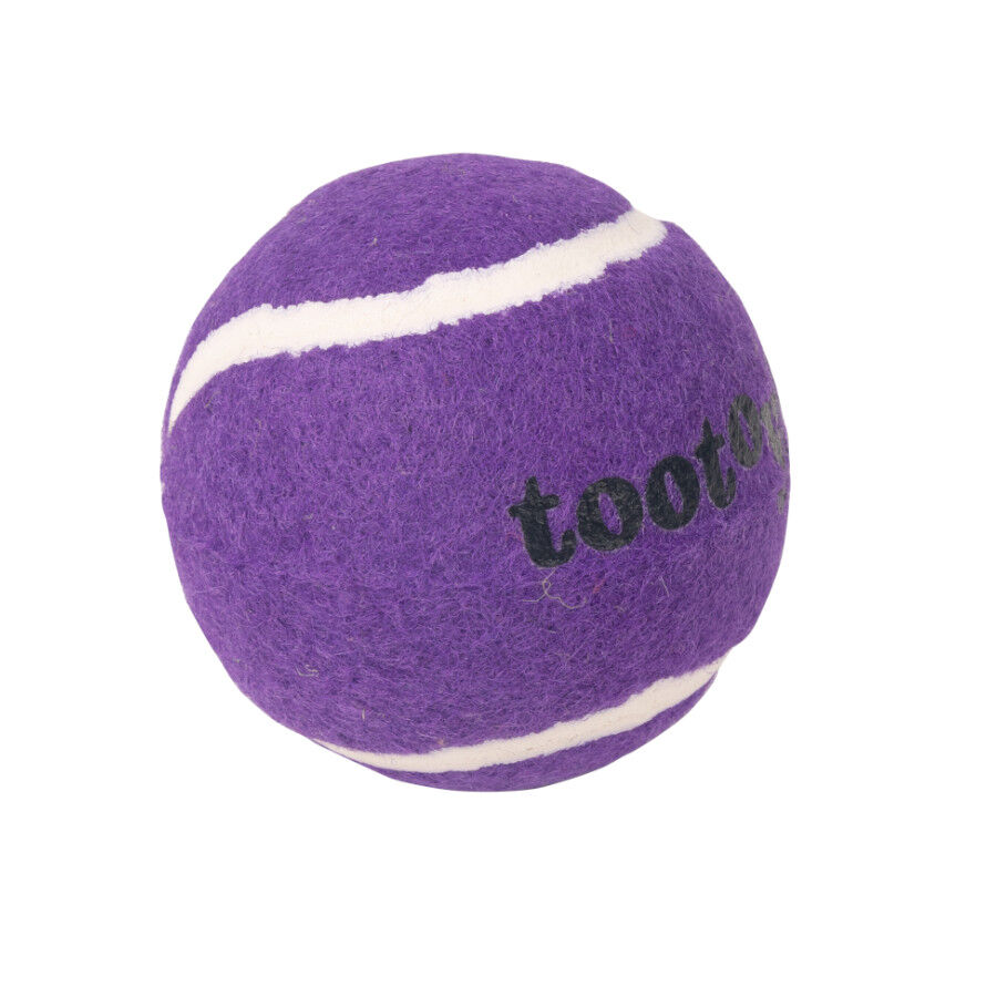 Tootoy! Chase Squeaker Ball Morada pelota de tenis para perros thumbnail