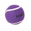 Tootoy! Chase Squeaker Ball Morada pelota de tenis para perros, , large indicador imagen numero 2