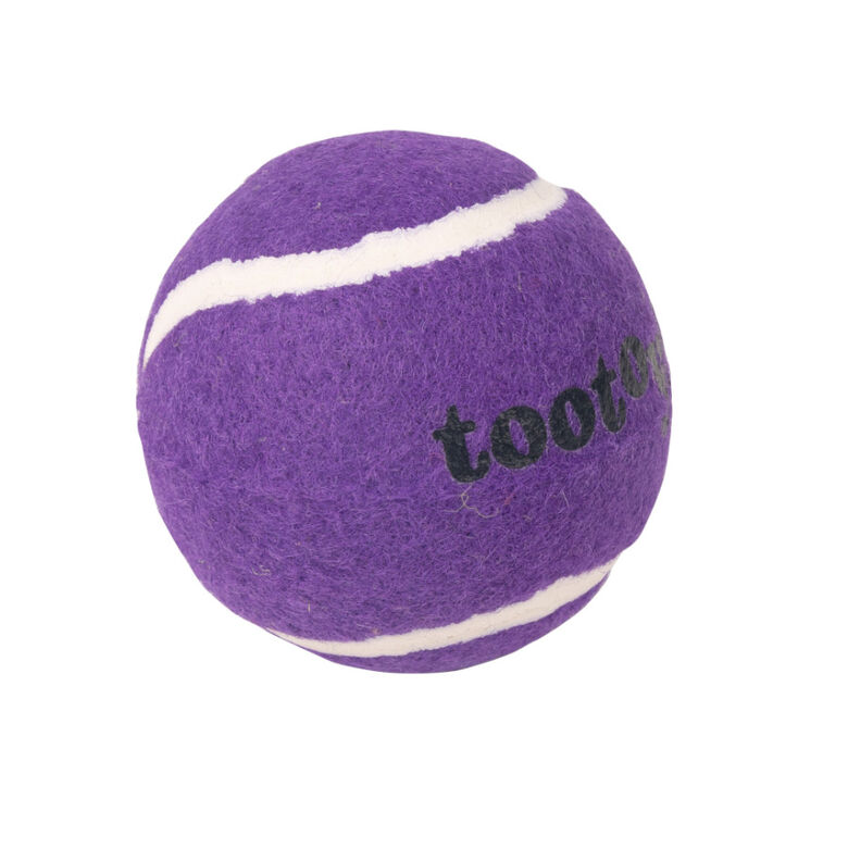 Tootoy! Chase Squeaker Ball Morada pelota de tenis para perros thumbnail