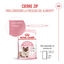10 kg Royal Canin Mother & Babycat pienso para gatos, , large indicador imagen numero 11