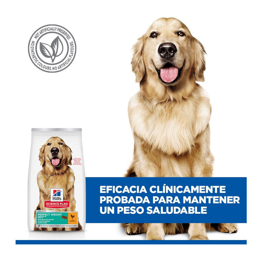 12 kg Hill's Science Plan Perfect Weight Adult Large Pollo pienso para perros, , large Imagen numero 6