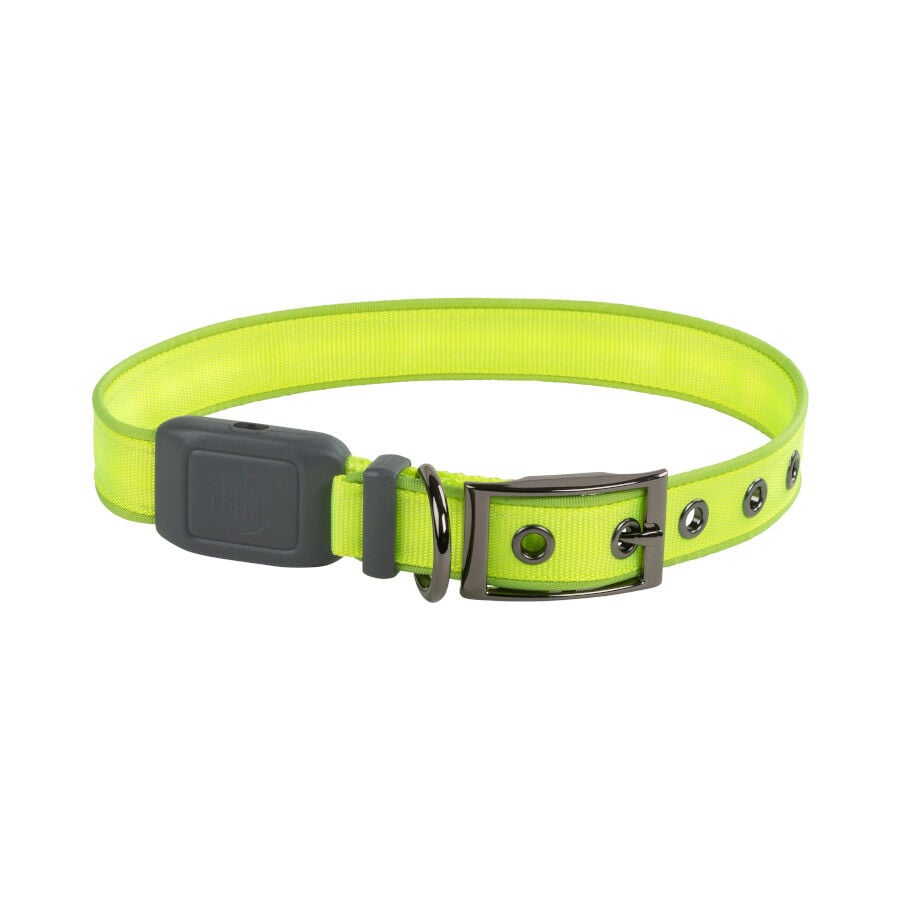 Nite Ize NiteDog Collar Led Recargable Verde para perros
