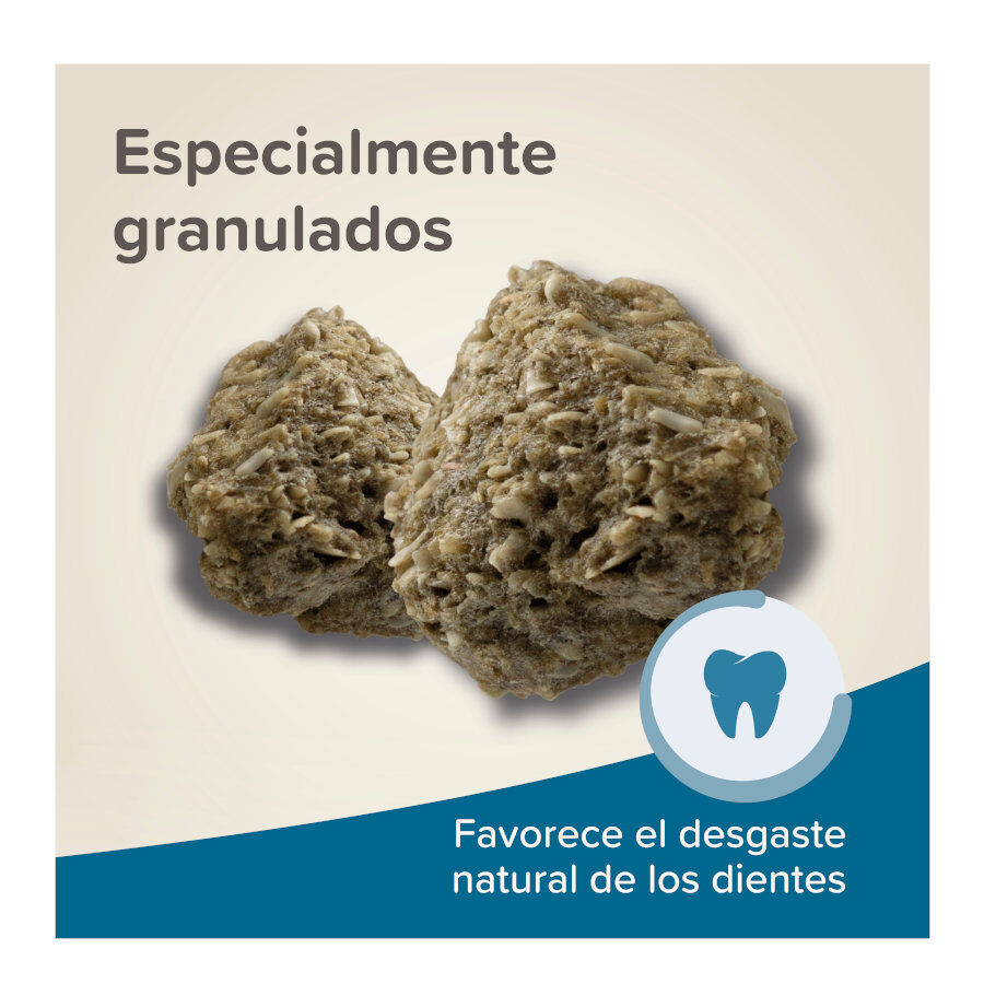 Beaphar Care+ Pienso para deg&uacute;s, , large Imagen numero 6