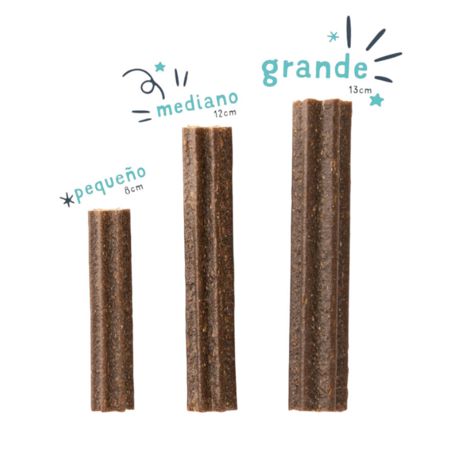 Edgard &amp; Cooper Barritas Dentales Manzana y eucalipto snack para perros grandes thumbnail