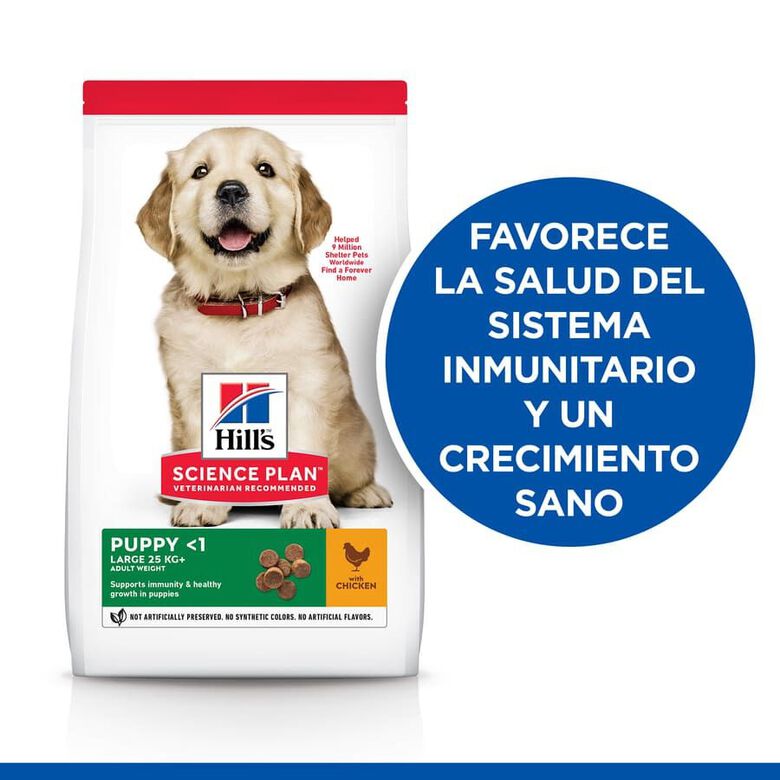 Hill&#039;s Science Plan Puppy large Pollo pienso para perros thumbnail
