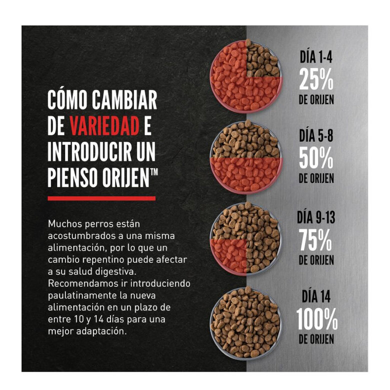 11 kg Orijen Puppy pienso para perros,  Imagen numero 5 11 kg Orijen Puppy pienso para perros, , large Imagen numero 5