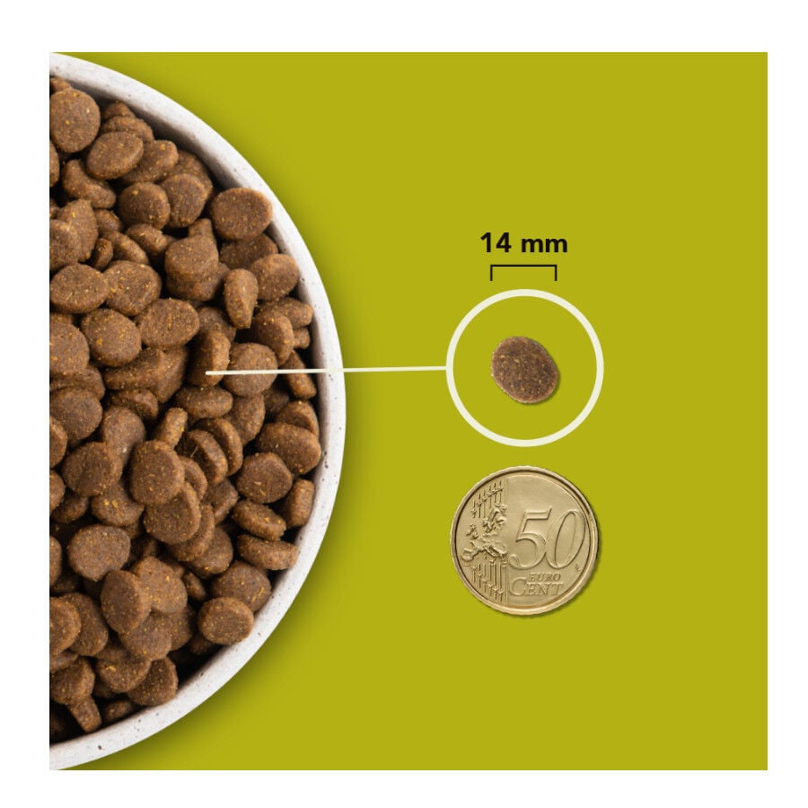 Acana HP Grasslands pienso para perros thumbnail