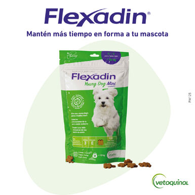 Vetoquinol Flexadin Young Mini Condroprotector para perros